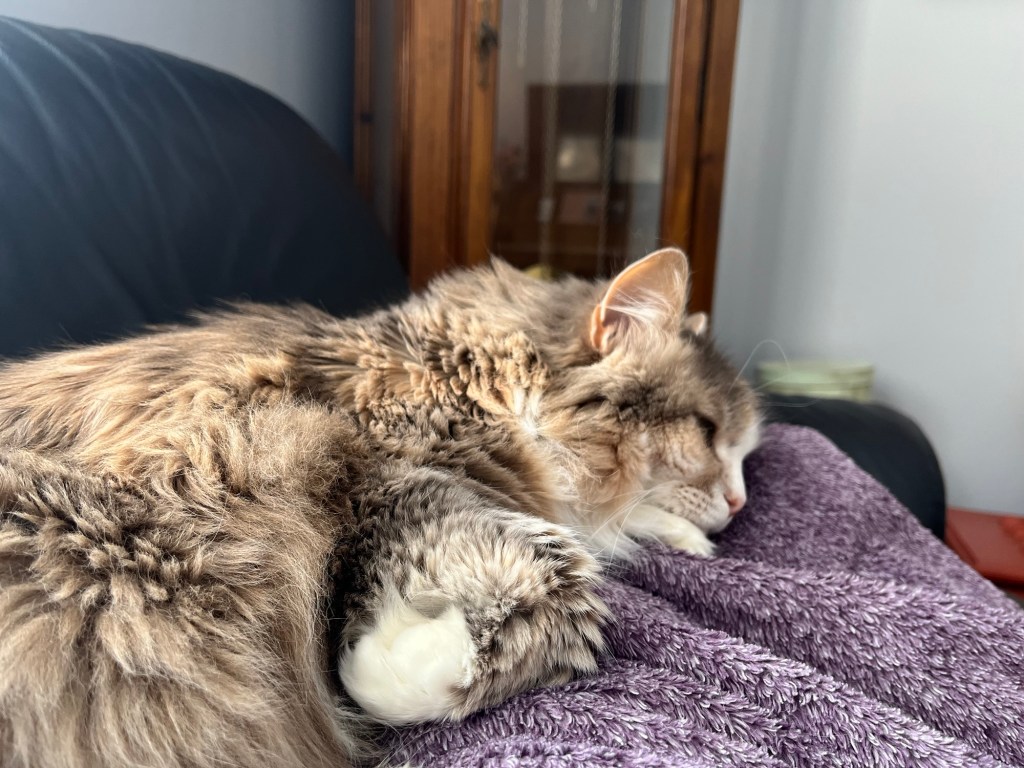 In One Year, It’s Possible to Live an Entire&nbsp;Lifetime